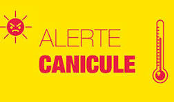 alerte canicule